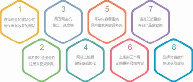 双收网络与猪八戒网 探索企业快速建站与精美设计的双赢之道